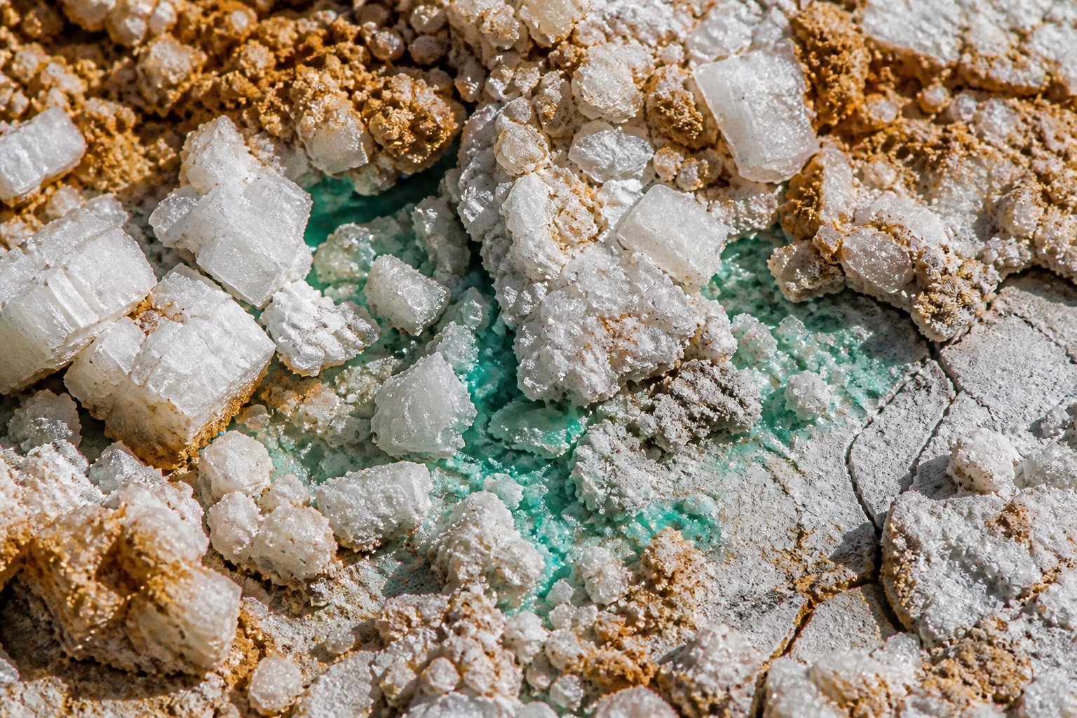 White crystalline crust macro